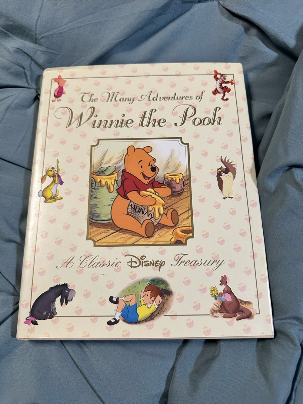 📚3 for $20 📚 The Many Adventures Of Winnie The Pooh